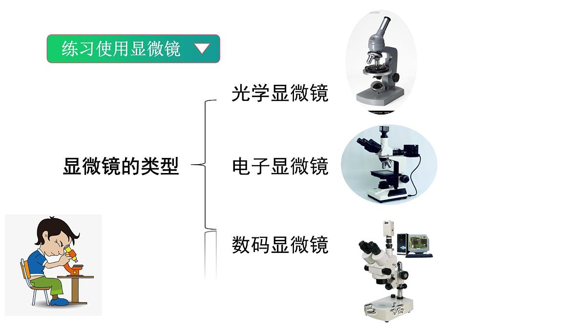 1.2.1 细胞 第1课时 显微镜的使用（教学课件）-2025-2026学年七年级生物上册（北京版2024）第7页