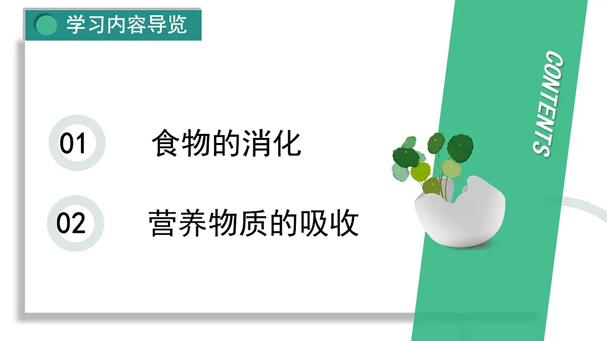 人教版初中生物七下4.2.2消化和吸收课件第3页