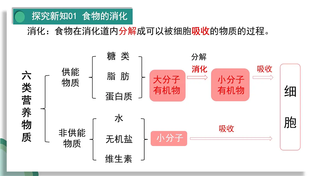 人教版初中生物七下4.2.2消化和吸收课件第4页