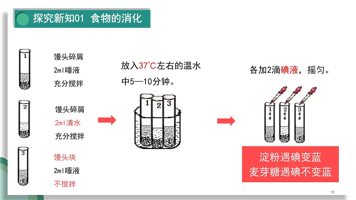 人教版初中生物七下4.2.2消化和吸收课件第7页