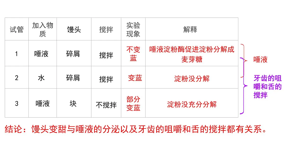 人教版初中生物七下4.2.2消化和吸收课件第8页