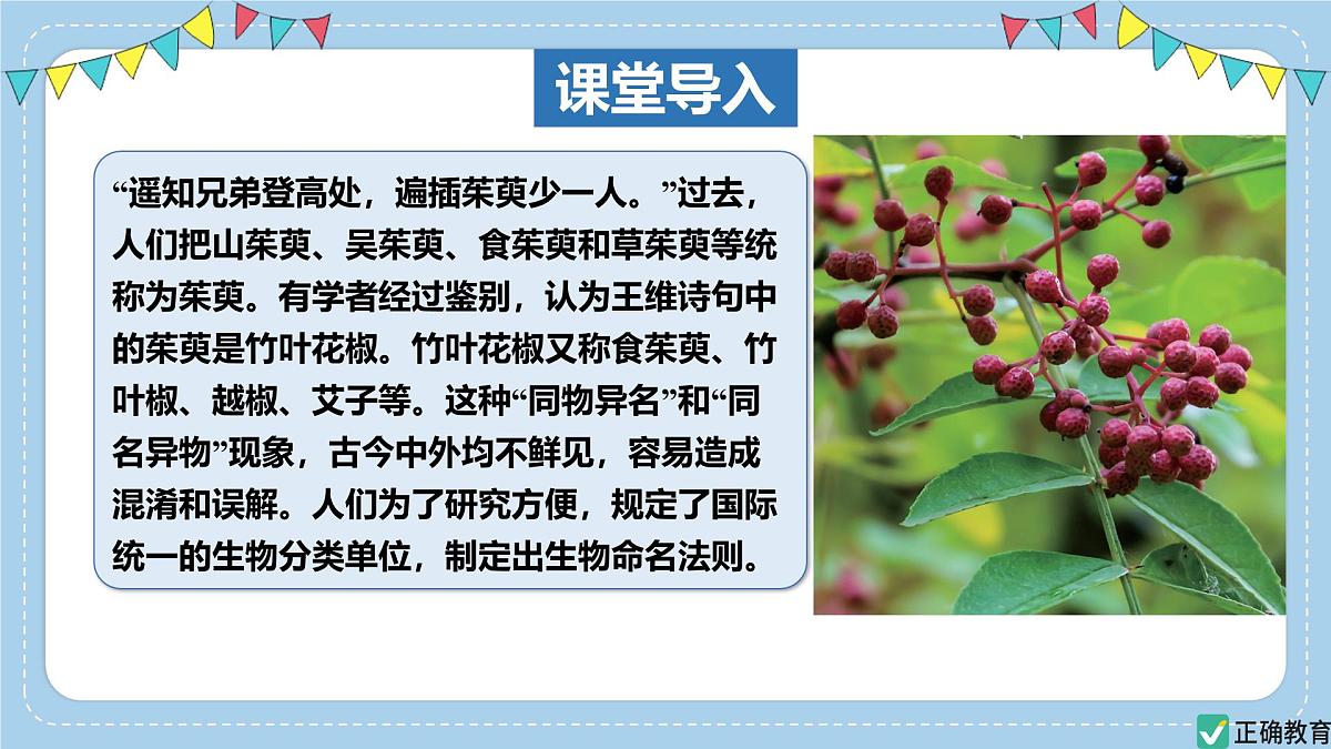 2.4.2“种”是生物分类的基本单位——初中生物学济南版（2024）七年级上册课件PPT第3页
