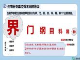 2.4.2“種”是生物分類的基本單位——初中生物學(xué)濟(jì)南版（2024）七年級(jí)上冊(cè)課件PPT