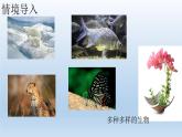 初中生物北師大版七年級(jí)上冊(cè) 1.1 形形色色的生物課件
