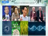初中生物北師大版七年級上冊 1.1.2生物學(xué)是探索生命的科學(xué) 課件