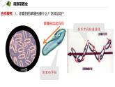 初中生物北師大版七年級上冊 2.2.2  細(xì)胞是生命活動的單位 課件
