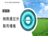 初中生物北師大版七年級上冊 2.3.1 細(xì)胞通過分裂而增殖 課件