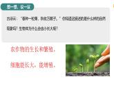 初中生物北師大版七年級上冊 2.3.1 細(xì)胞通過分裂而增殖 課件