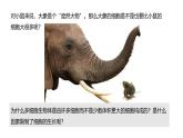 初中生物北師大版七年級上冊 2.3.1 細(xì)胞通過分裂而增殖 課件