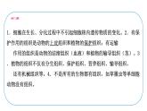 初中生物北師大版七年級(jí)上冊 2.3.2　細(xì)胞分化形成組織 課件