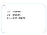 初中生物北師大版七年級(jí)上冊 2.3.2　細(xì)胞分化形成組織 課件
