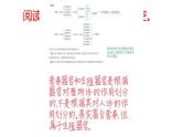 初中生物北師大版七年級上冊 2.3.3　生物體的器官、系統(tǒng) 課件