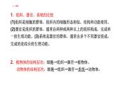初中生物北師大版七年級上冊 2.3.3　生物體的器官、系統(tǒng) 課件
