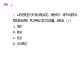 初中生物北師大版七年級上冊 2.3.3　生物體的器官、系統(tǒng) 課件