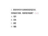 初中生物北師大版七年級上冊 2.3.3　生物體的器官、系統(tǒng) 課件
