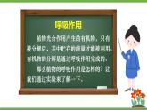初中生物北師大版七年級(jí)上冊(cè) 3.4.2 呼吸作用 課件
