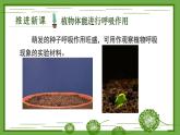 初中生物北師大版七年級(jí)上冊(cè) 3.4.2 呼吸作用 課件