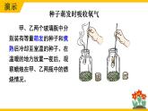 初中生物北師大版七年級(jí)上冊(cè) 3.4.2 呼吸作用 課件