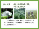 初中生物北師大版七年級(jí)上冊(cè) 3.4.3 吸收作用 課件