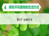 初中生物北師大版七年級(jí)上冊(cè) 3.4.4 運(yùn)輸作用 課件