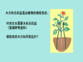 初中生物北師大版七年級(jí)上冊(cè) 3.4.4 運(yùn)輸作用 課件