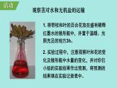 初中生物北師大版七年級(jí)上冊(cè) 3.4.4 運(yùn)輸作用 課件