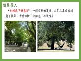 初中生物北師大版七年級(jí)上冊(cè) 3.4.5 蒸騰作用 課件