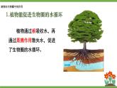 初中生物北師大版七年級(jí)上冊(cè) 3.4.6 植物在生物圈中的作用 課件