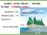 初中生物北師大版七年級(jí)上冊(cè) 3.4.6 植物在生物圈中的作用 課件