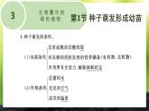 初中生物北師大版七年級(jí)上冊(cè) 3.5.2 營(yíng)養(yǎng)器官的生長(zhǎng)  課件
