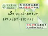 初中生物北師大版七年級上冊 3.5.3 生殖器官的生長 課件