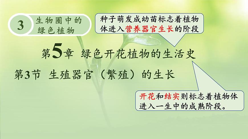 初中生物北师大版七年级上册 3.5.3 生殖器官的生长 课件第1页