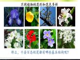 初中生物北師大版七年級上冊 3.5.3 生殖器官的生長 課件