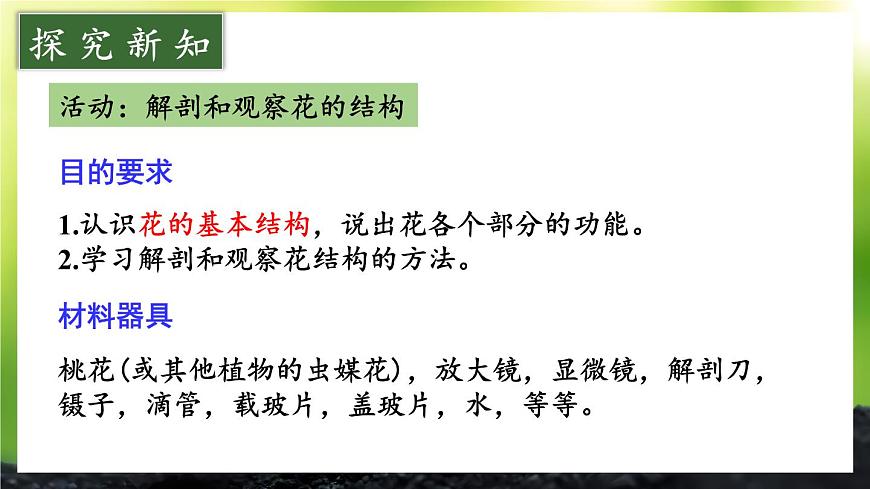 初中生物北师大版七年级上册 3.5.3 生殖器官的生长 课件第6页