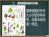 初中生物北师大版七年级上册 2.2.1 细胞的结构和功能 第2课时 课件