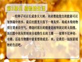 初中生物北師大版七年級(jí)上冊(cè) 3.4.1.1光合作用的探索 課件