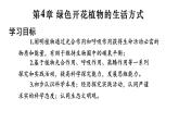 初中生物北師大版七年級(jí)上冊(cè) 3.4.1.1光合作用的探索 課件
