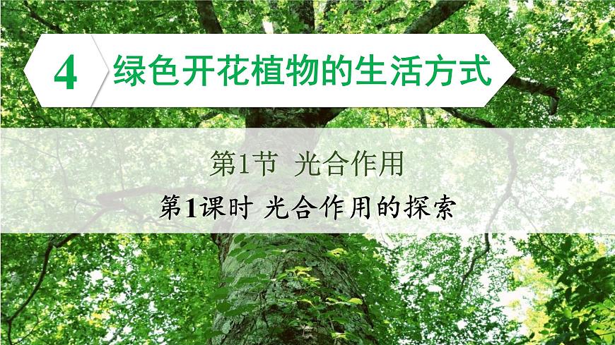 初中生物北师大版七年级上册 3.4.1.1光合作用的探索 课件第3页