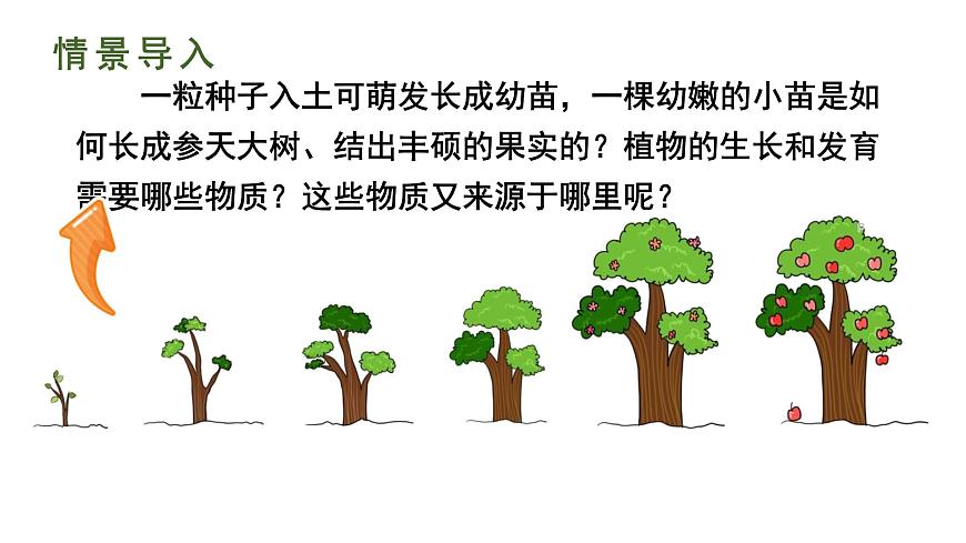 初中生物北师大版七年级上册 3.4.1.1光合作用的探索 课件第4页