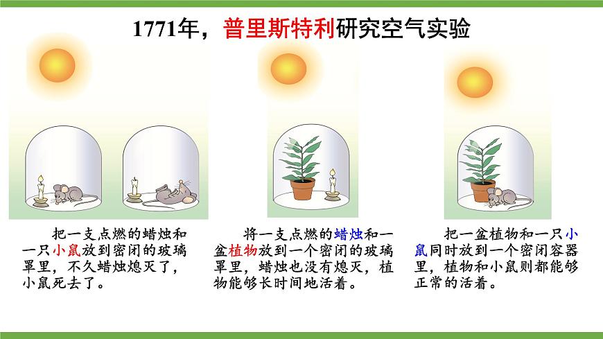 初中生物北师大版七年级上册 3.4.1.1光合作用的探索 课件第8页