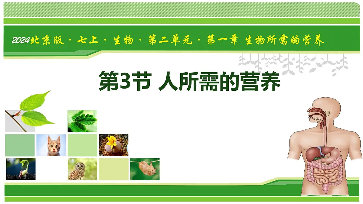 2.1.3 人所需要的营养（教学课件）-2025-2026学年七年级生物上册（北京版2024）第1页