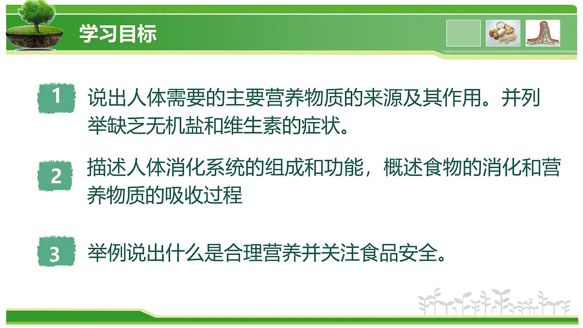 2.1.3 人所需要的营养（教学课件）-2025-2026学年七年级生物上册（北京版2024）第2页