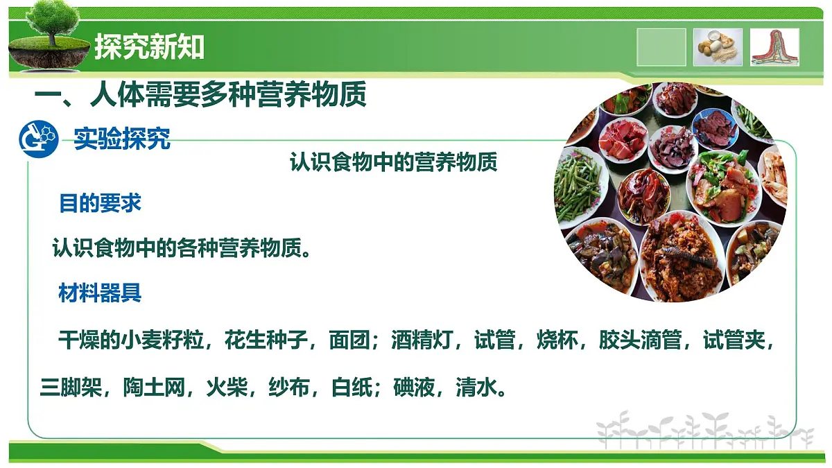 2.1.3 人所需要的营养（教学课件）-2025-2026学年七年级生物上册（北京版2024）第4页
