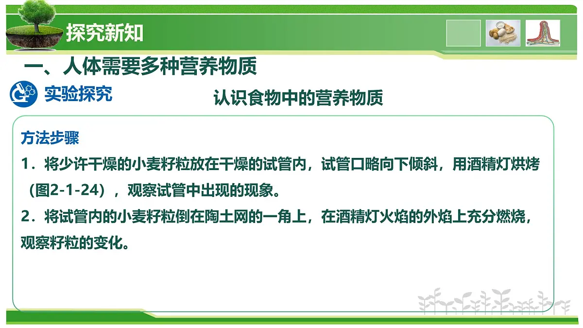 2.1.3 人所需要的营养（教学课件）-2025-2026学年七年级生物上册（北京版2024）第5页