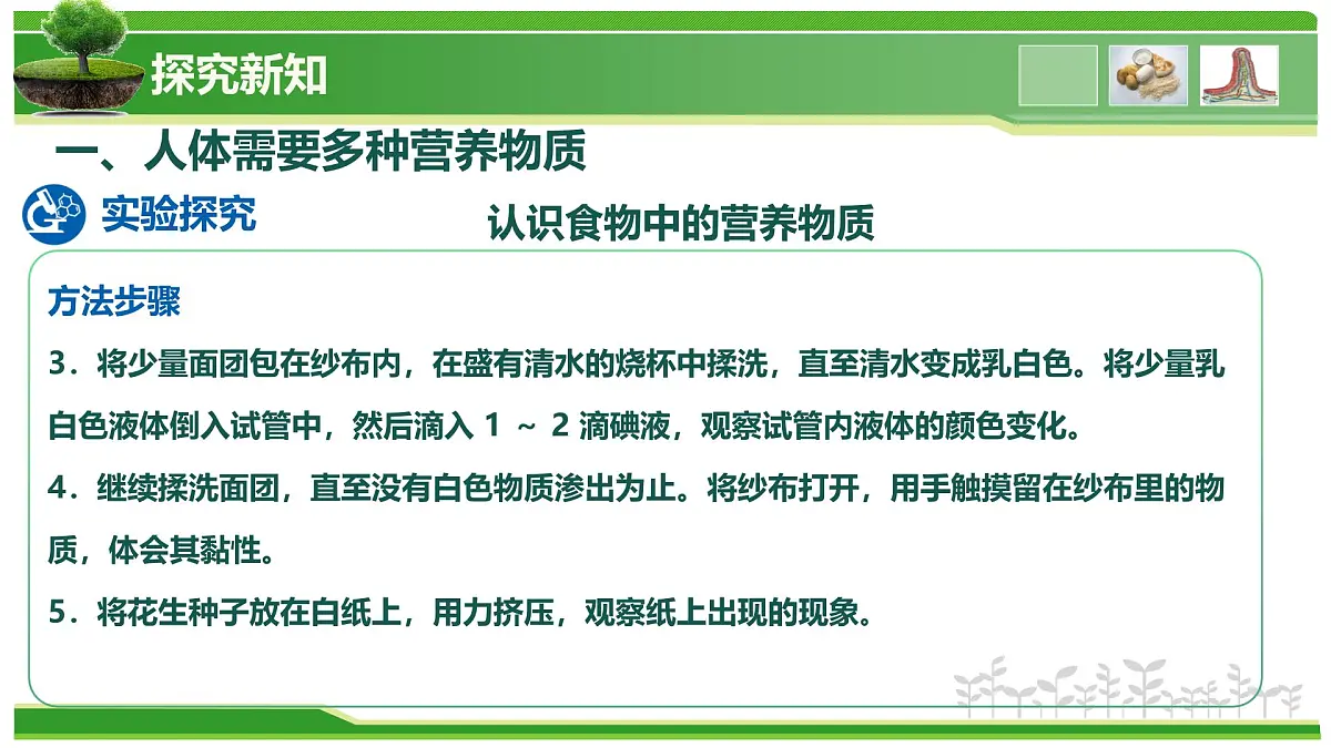 2.1.3 人所需要的营养（教学课件）-2025-2026学年七年级生物上册（北京版2024）第6页