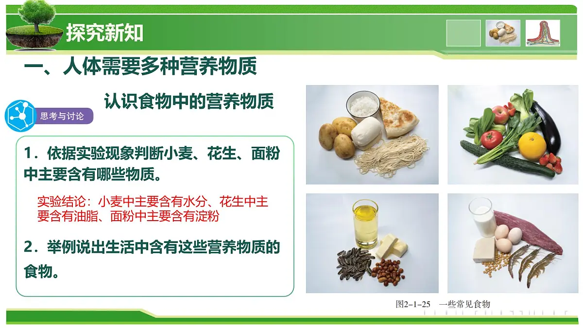 2.1.3 人所需要的营养（教学课件）-2025-2026学年七年级生物上册（北京版2024）第7页