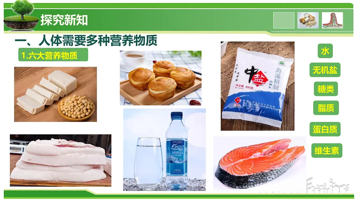 2.1.3 人所需要的营养（教学课件）-2025-2026学年七年级生物上册（北京版2024）第8页
