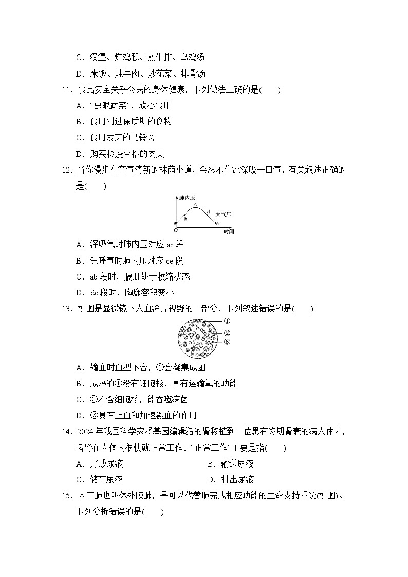 七年级生物下册 第二学期 期末综合测试卷（人教版 2025年春）第3页