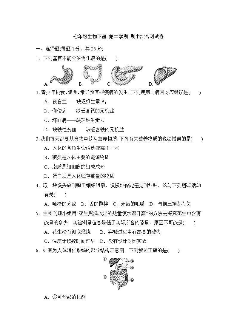 七年级生物下册 第二学期 期中综合测试卷（冀少版 2025年春）第1页