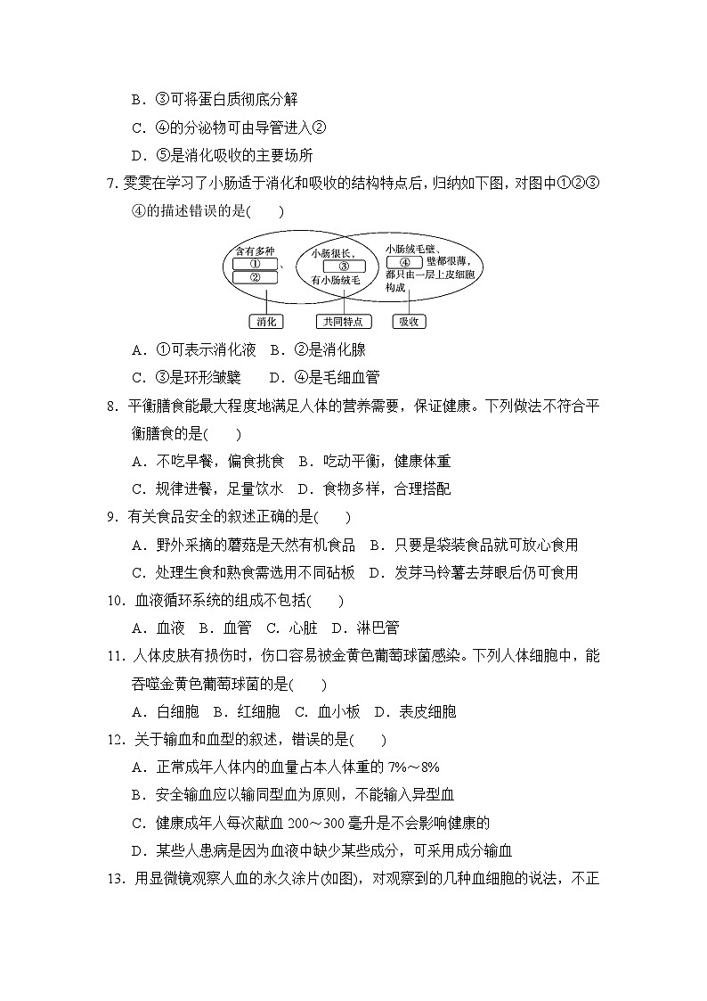 七年级生物下册 第二学期 期中综合测试卷（冀少版 2025年春）第2页